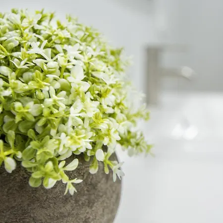 Jardines De Candelaria 카디스