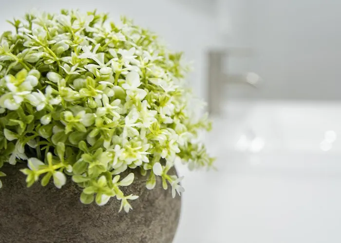 Jardines De Candelaria 카디스